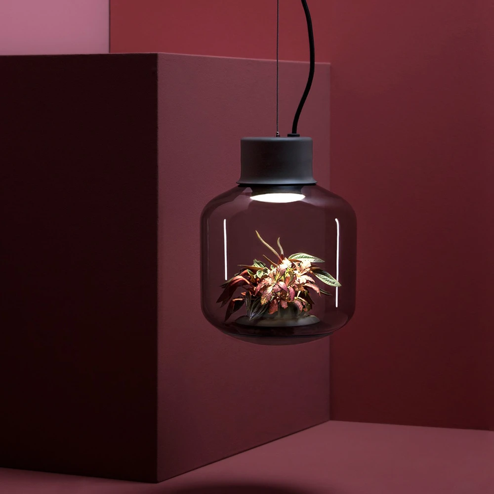 Mygdal by Nui Studio